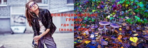 МДПВ Абаза