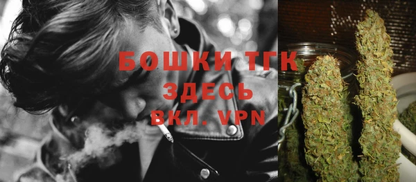 МДПВ Абаза