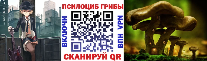 что такое   Шилка  Галлюциногенные грибы ЛСД 